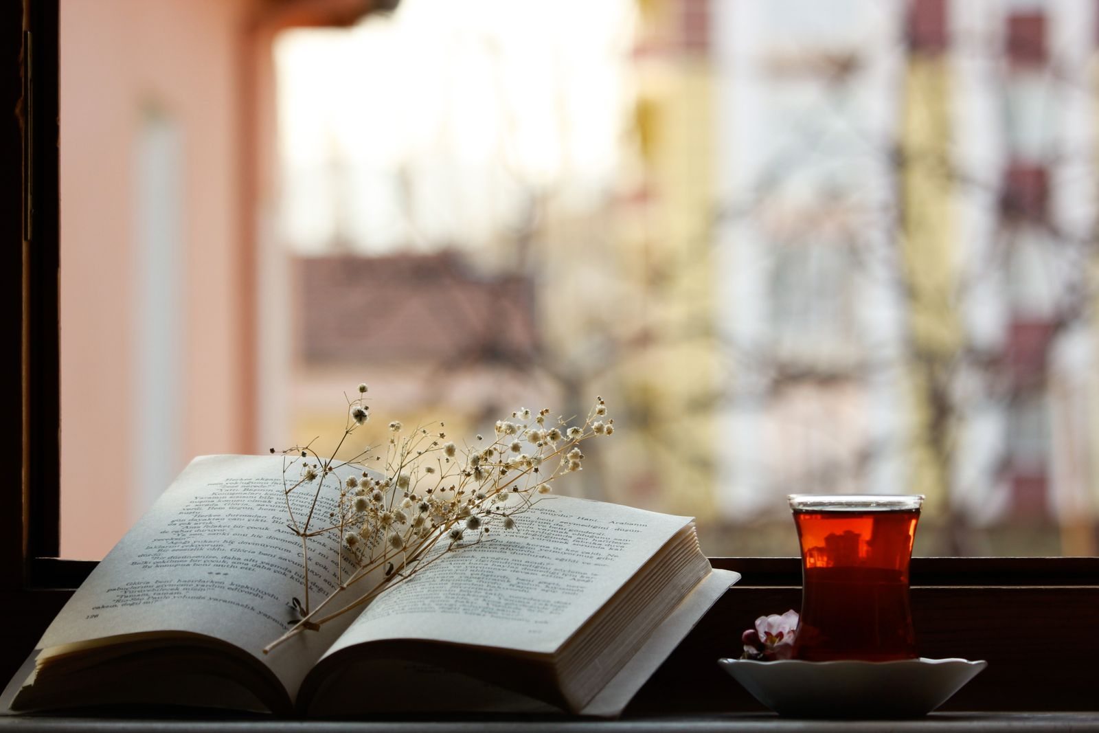 Libro aperto e tazza di tè sul davanzale