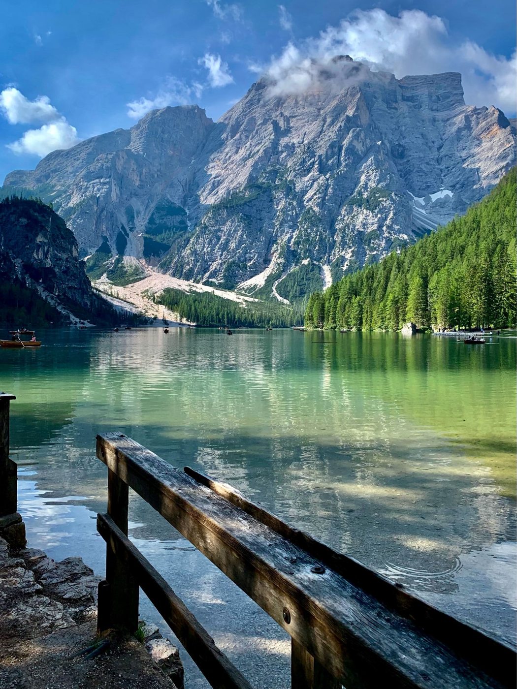 Lago alpino, bosco e montagne visti dalla riva
