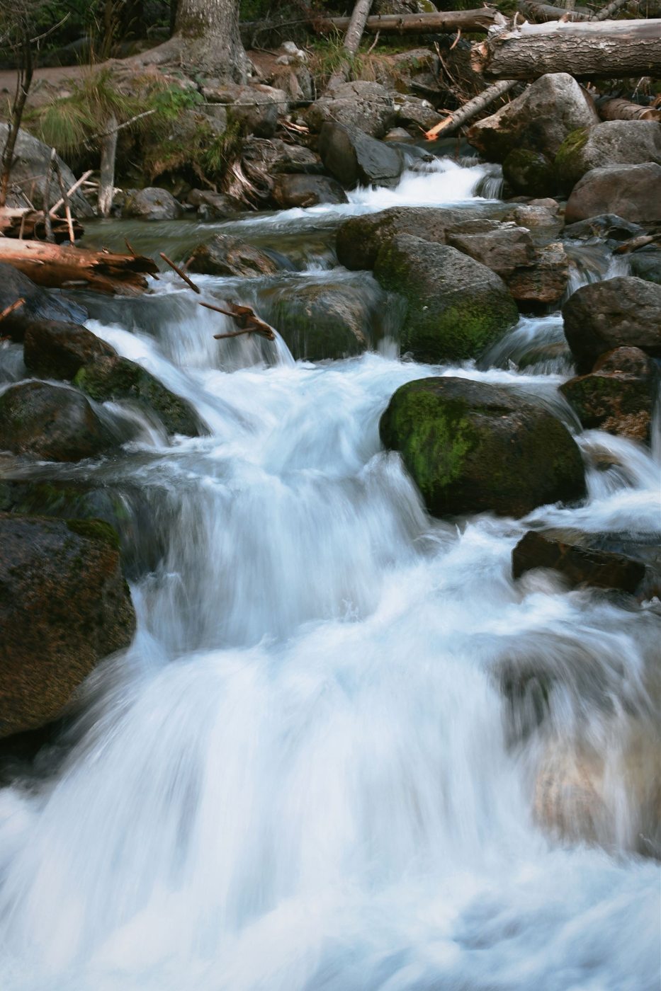 Acqua di un torrente che scorre tra le rocce