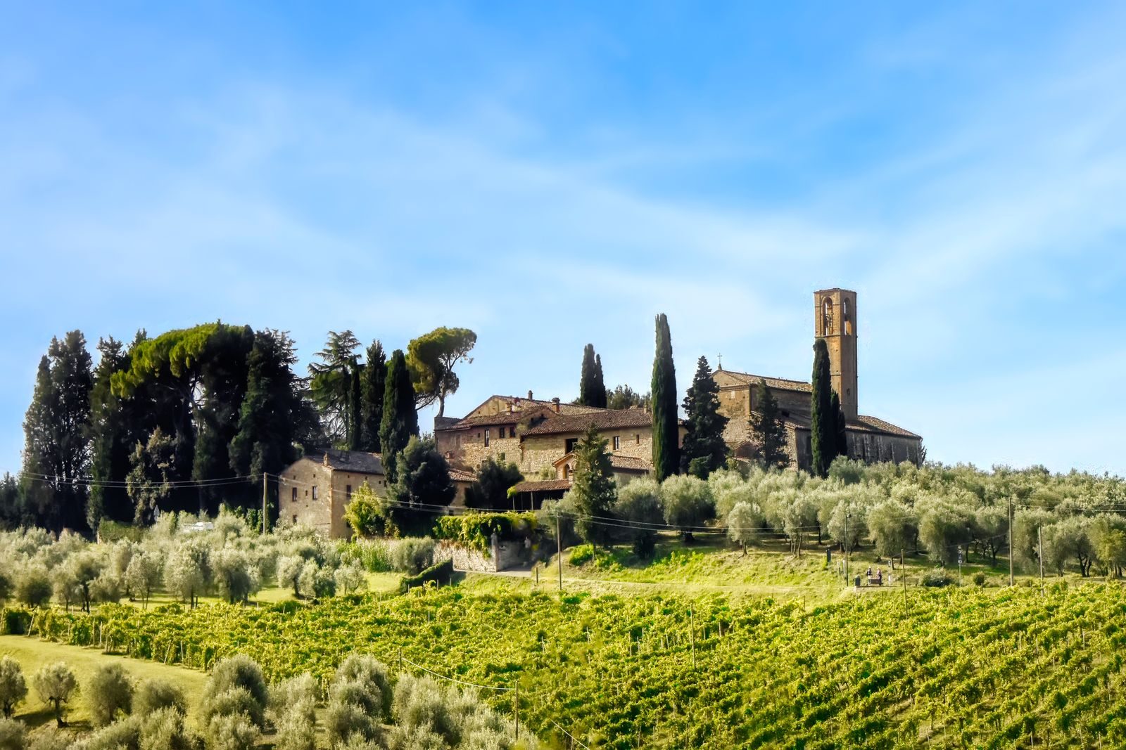 Casa rurale tra ulivi e colline toscane