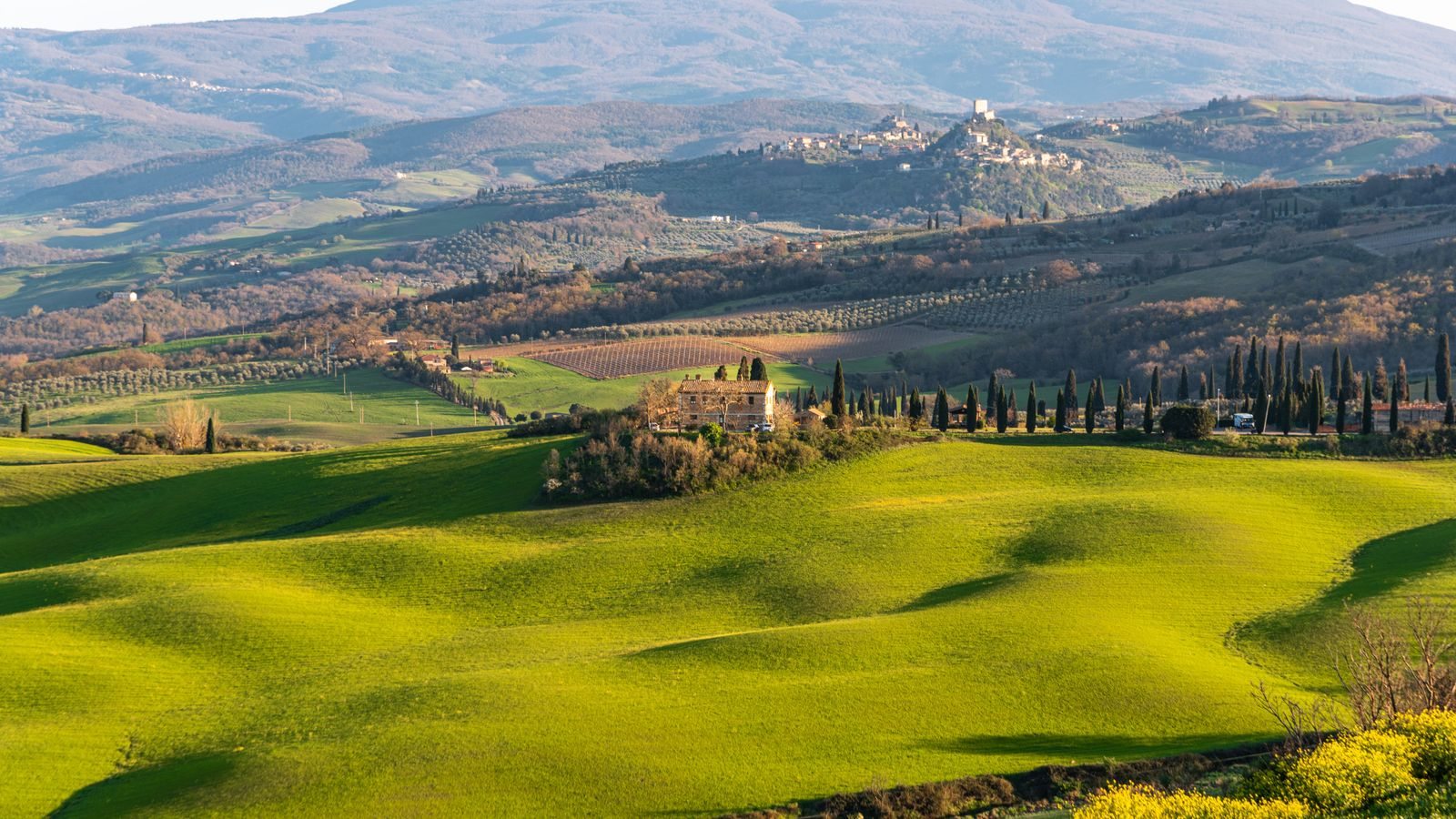 Colline verdi e campagna della Val d'Orcia