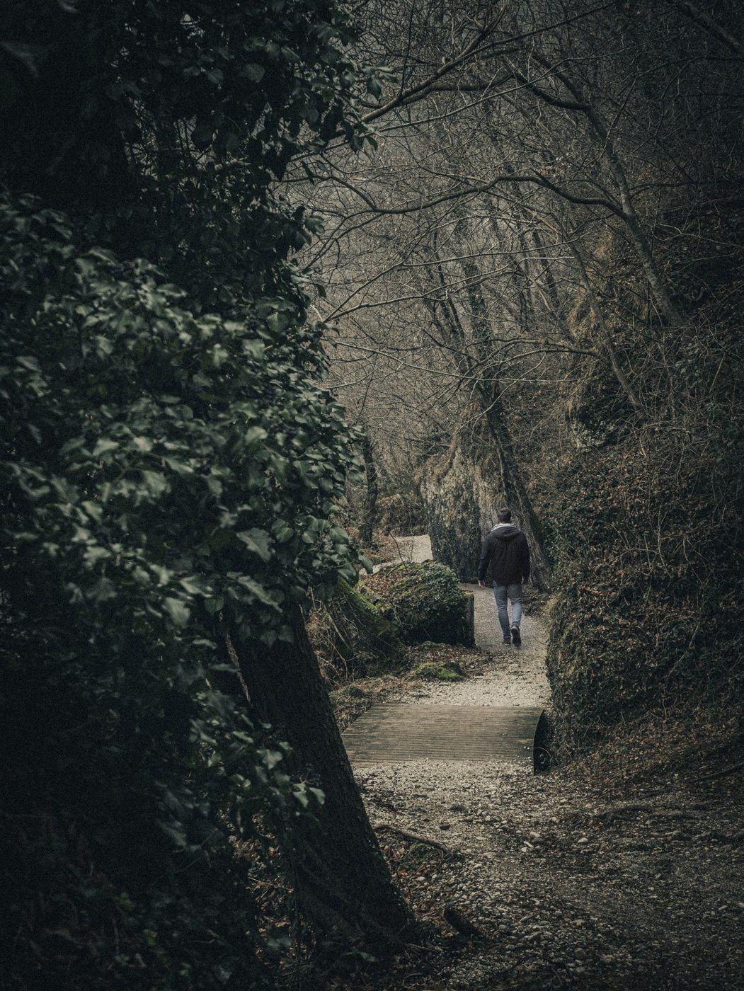 Una persona cammina lungo un sentiero nel bosco