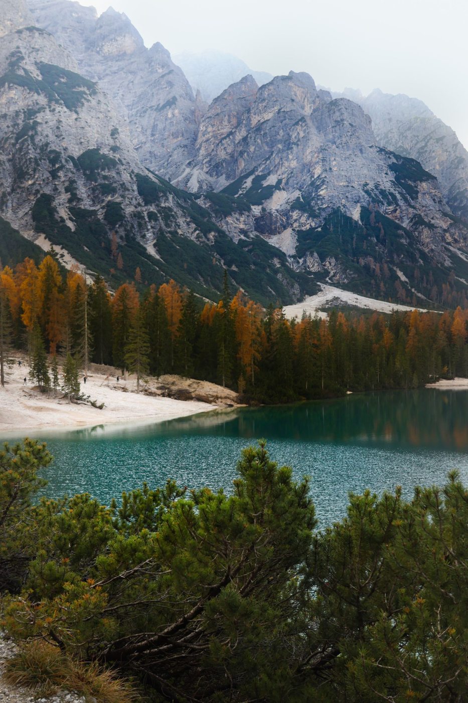 Bosco dai colori autunnali intorno a un lago dolomitico
