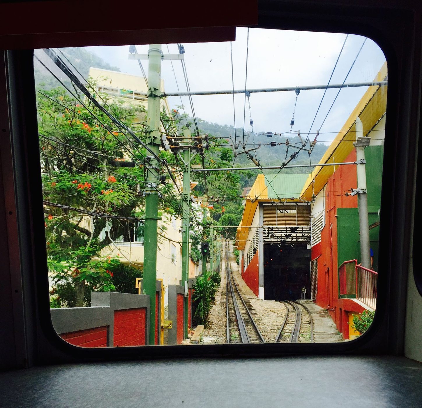 Tracks and vegetation seen through a train window